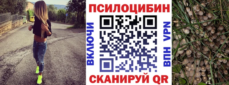 Псилоцибиновые грибы Psilocybe  Перевоз 